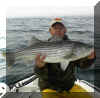 11-21-02Striper1a.jpg (35558 bytes)