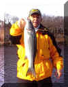 12-30-02Striper1a.jpg (34741 bytes)