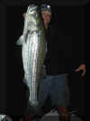 7-29-02_Blaine_Striper1a.jpg (13616 bytes)